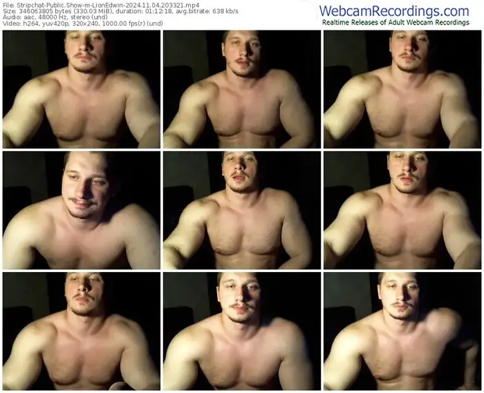 2024/11/04/stripchat-lionedwin-20-33-21