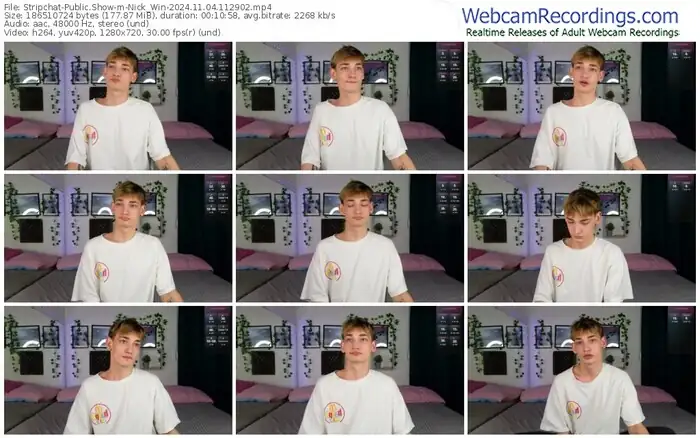 2024/11/04/stripchat-nick_win-11-29-02