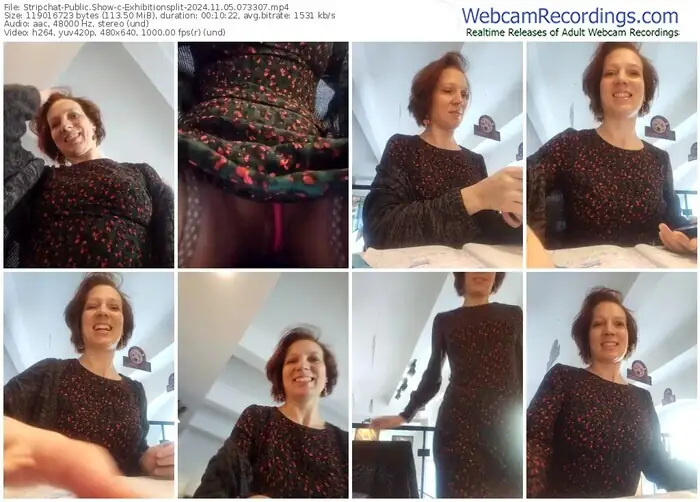 2024/11/05/stripchat-exhibitionsplit-07-33-07