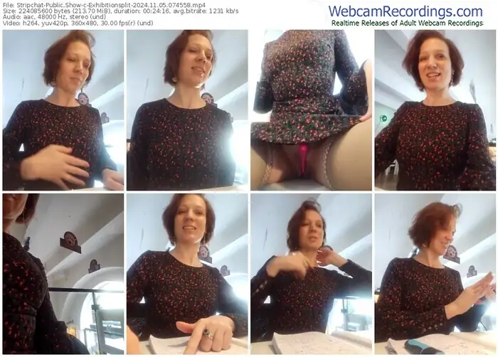 2024/11/05/stripchat-exhibitionsplit-07-45-58