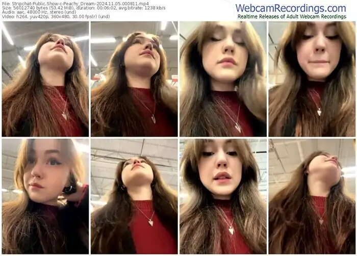 2024/11/05/stripchat-peachy_dream-00-08-11