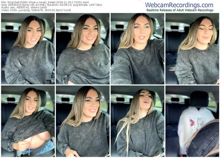 2024/11/05/stripchat-lovely_beast-17-20-51