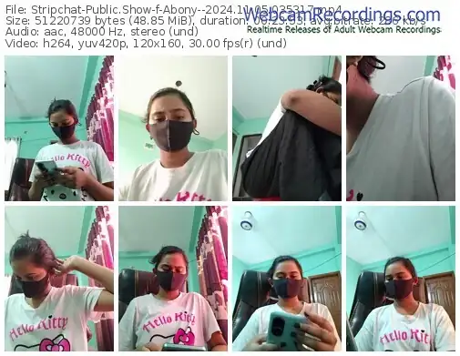 2024/11/05/stripchat-abony--03-53-17