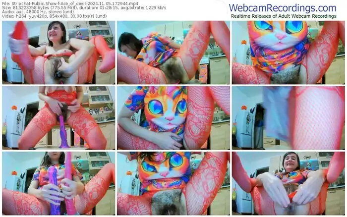 2024/11/05/stripchat-ace_of_devil-17-29-44