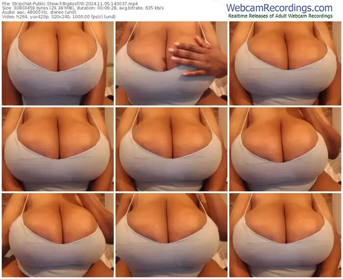 2024/11/05/stripchat-bigasstitt-14-30-37