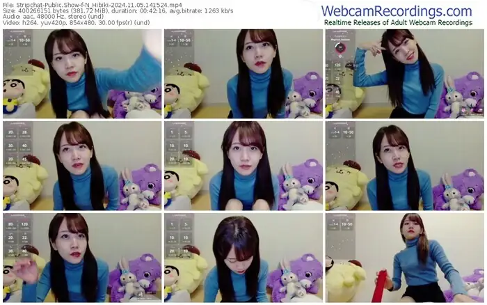 2024/11/05/stripchat-n_hibiki-14-15-24