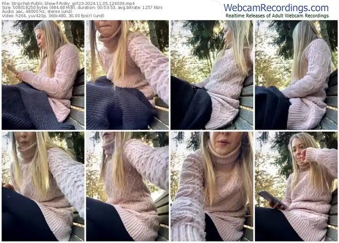 2024/11/05/stripchat-risky_girl23-12-40-39