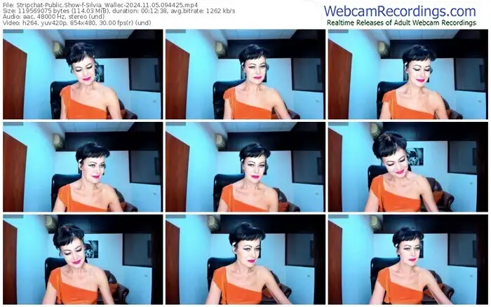 2024/11/05/stripchat-silvia_wallec-09-44-25