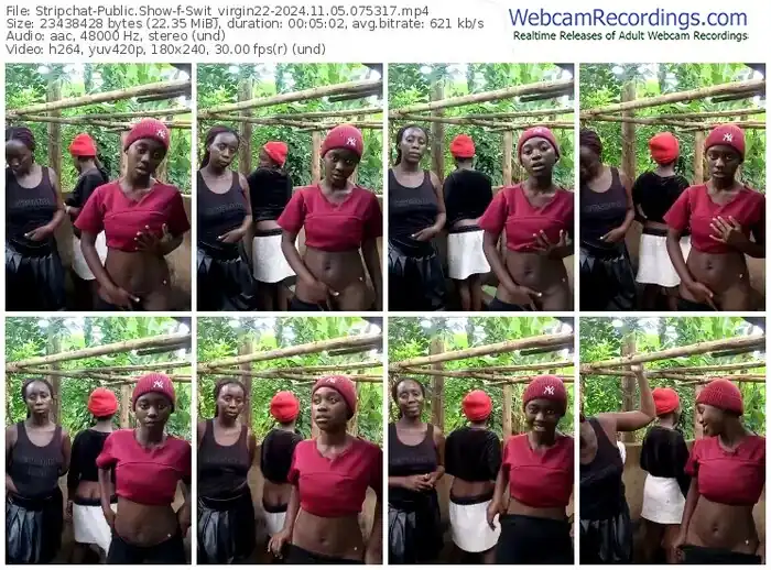 2024/11/05/stripchat-swit_virgin22-07-53-17