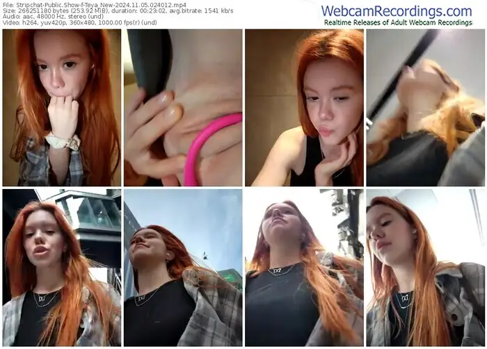 2024/11/05/stripchat-teya_new-02-40-12