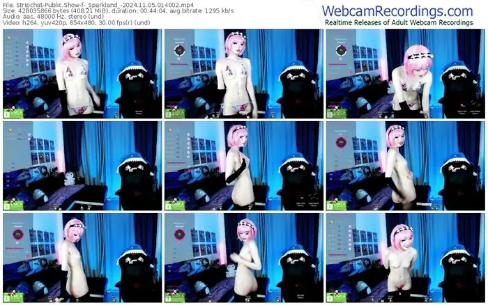 2024/11/05/stripchat-_sparkland_-01-40-02