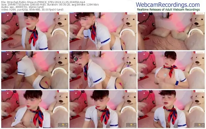 2024/11/05/stripchat-prince_stev-00-46-58