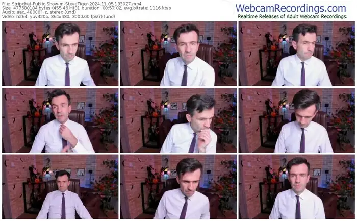 2024/11/05/stripchat-stevetiger-13-30-27