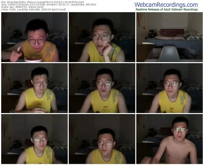 2024/11/05/stripchat-wang930115-05-45-35