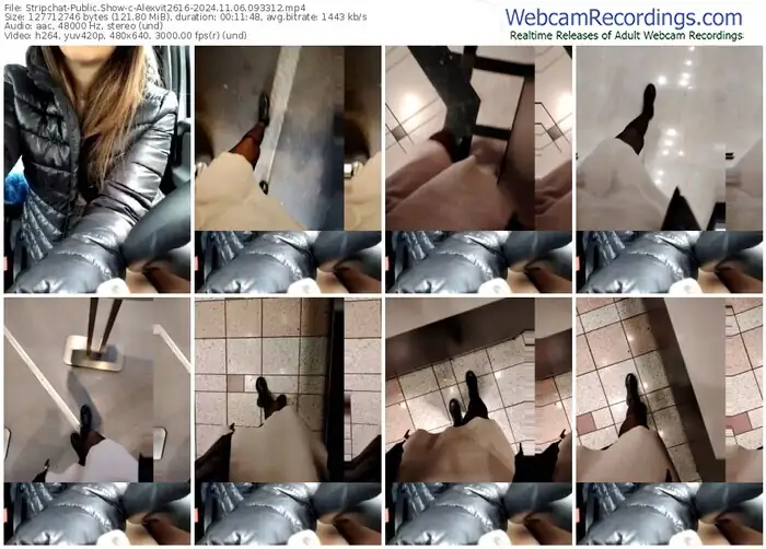 2024/11/06/stripchat-alexvit2616-09-33-12