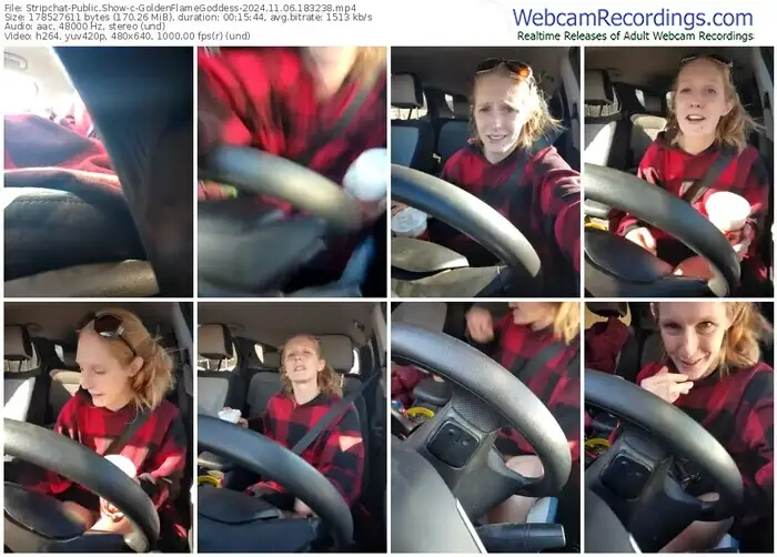 2024/11/06/stripchat-goldenflamegoddess-18-32-38