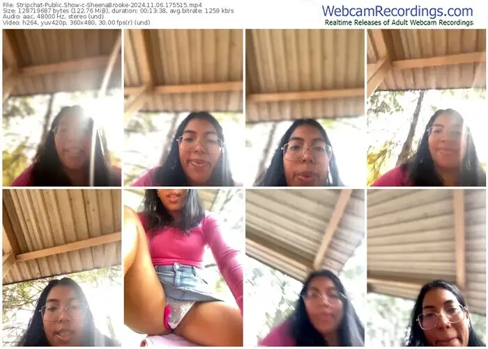 2024/11/06/stripchat-sheenabrooke-17-55-15