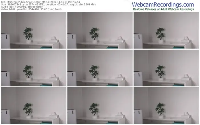 2024/11/06/stripchat-p6w_official-11-49-07