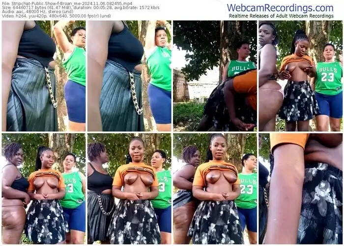 2024/11/06/stripchat-broan_me-08-24-55