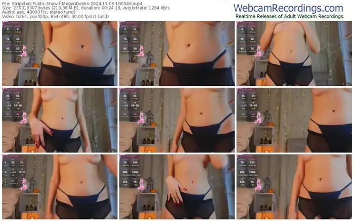 2024/11/06/stripchat-megandeeks-10-09-46