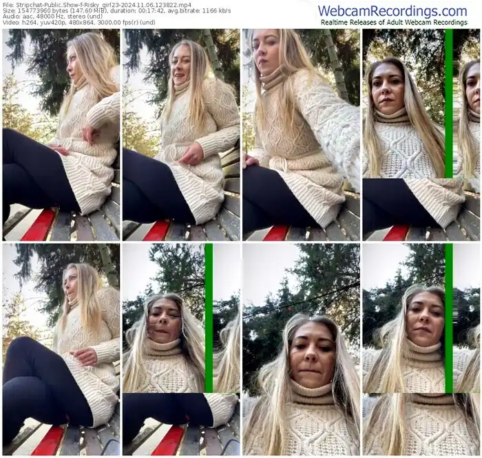 2024/11/06/stripchat-risky_girl23-12-38-22