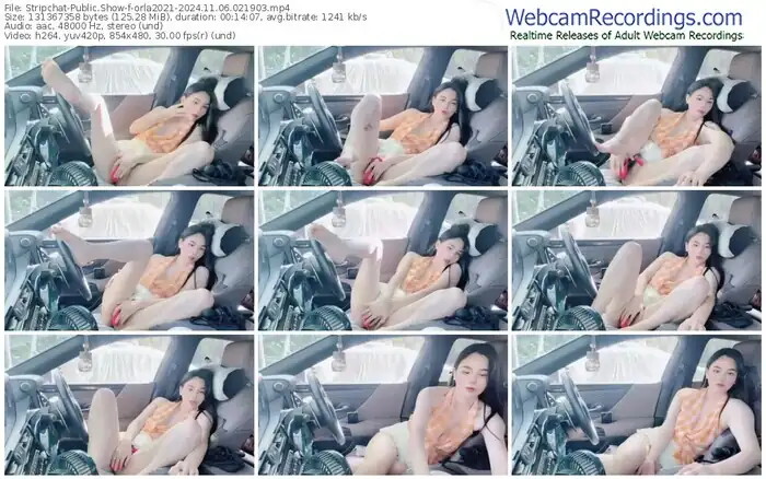 2024/11/06/stripchat-orla2021-02-19-03