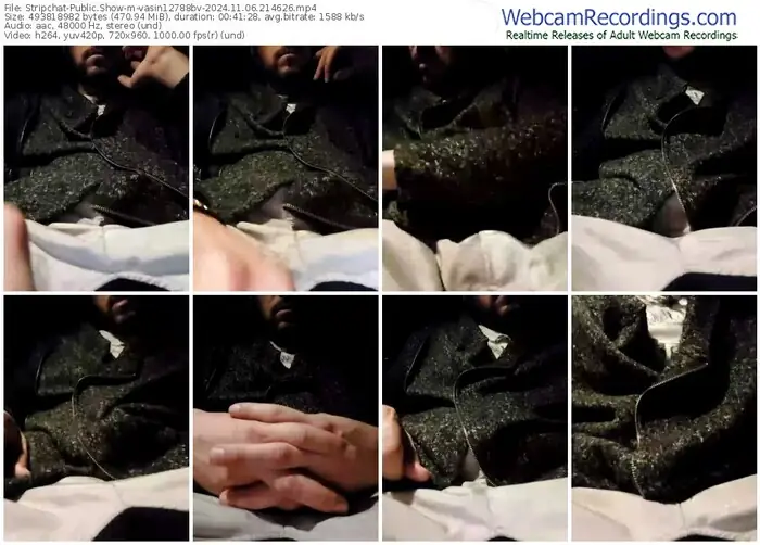 2024/11/06/stripchat-vasin12788bv-21-46-26