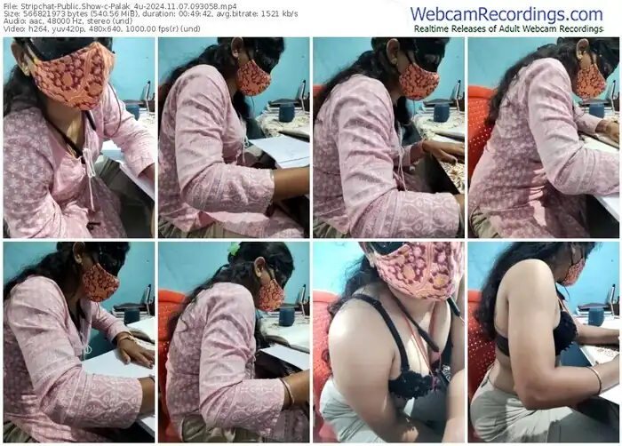 2024/11/07/stripchat-palak_4u-09-30-58