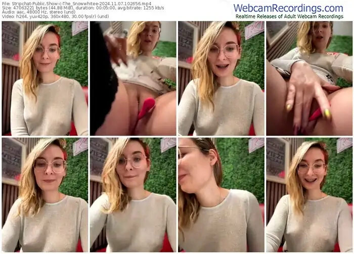 2024/11/07/stripchat-the_snowwhitee-10-26-56