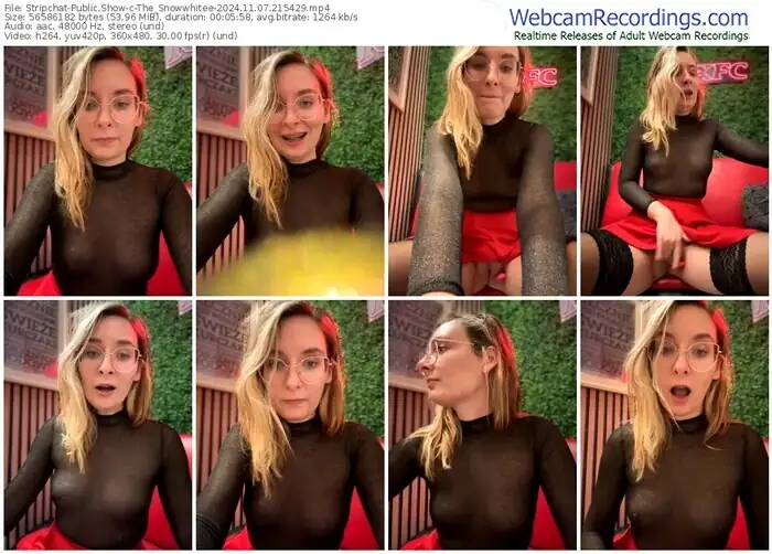 2024/11/07/stripchat-the_snowwhitee-21-54-29