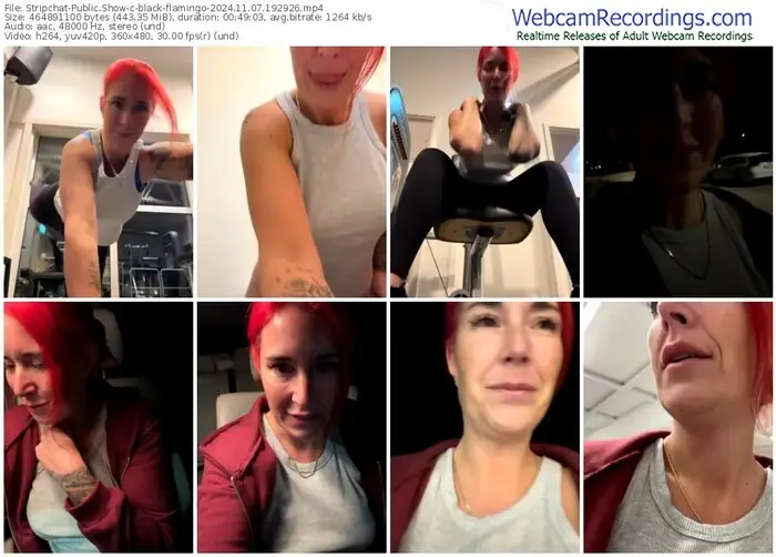2024/11/07/stripchat-black-flamingo-19-29-26