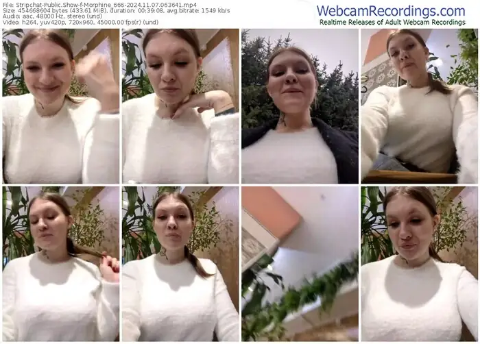 2024/11/07/stripchat-morphine_666-06-36-41