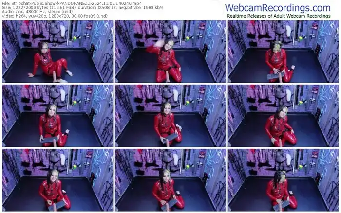 2024/11/07/stripchat-pandoranezz-14-02-46