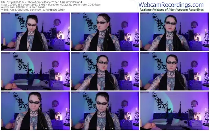 2024/11/07/stripchat-sindeldark-03-53-33