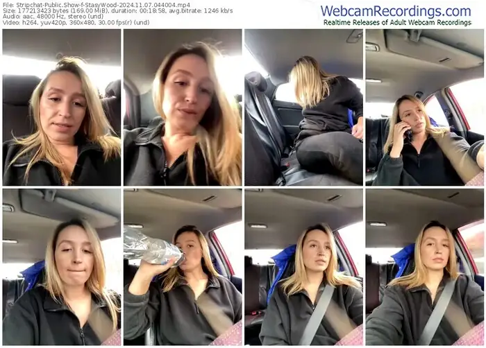 2024/11/07/stripchat-stasywood-04-40-04
