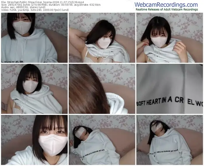 2024/11/07/stripchat-mei_hosina-15-21-39