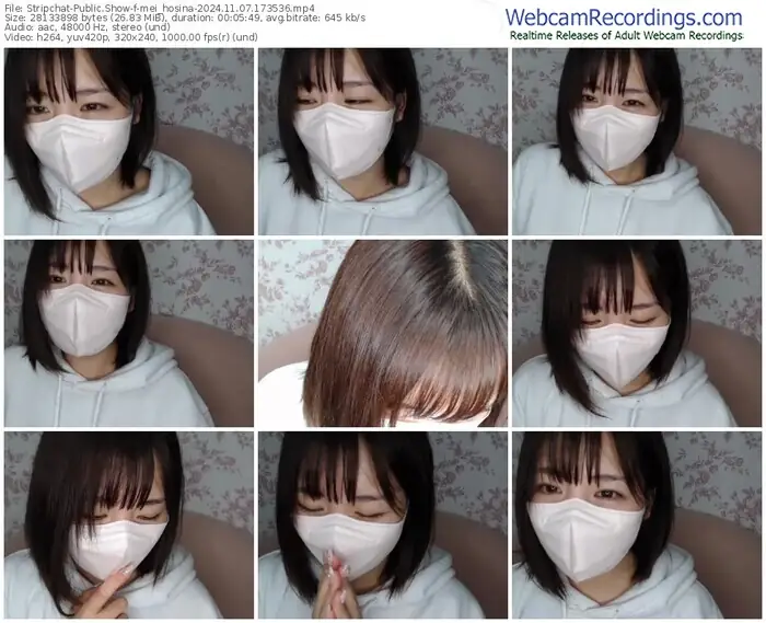 2024/11/07/stripchat-mei_hosina-17-35-36