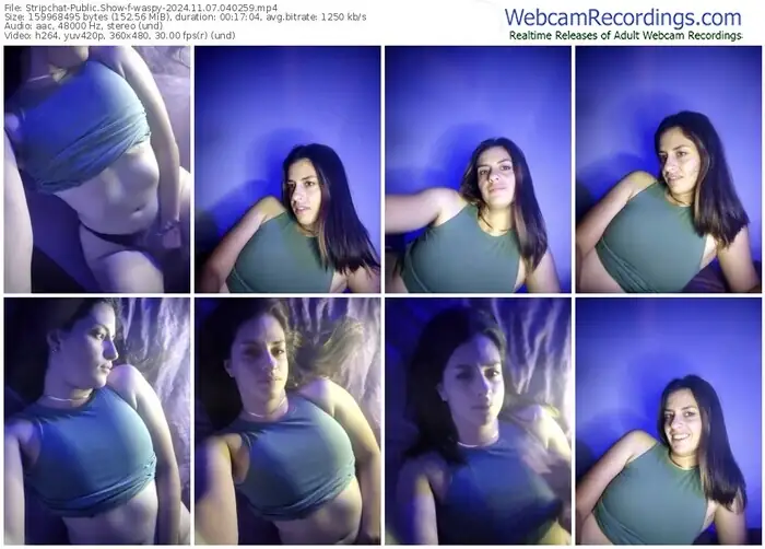 2024/11/07/stripchat-waspy-04-02-59