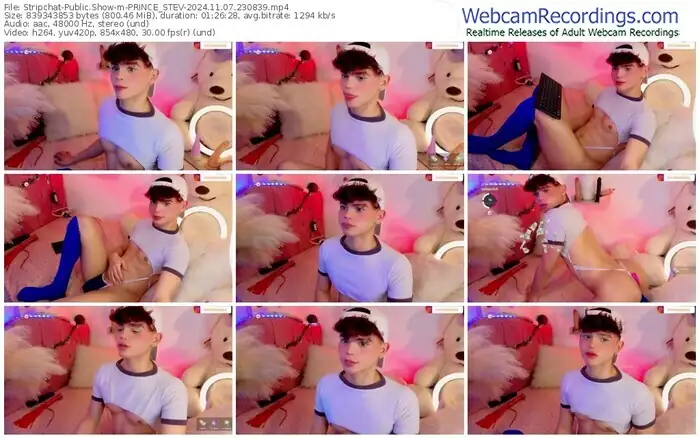 2024/11/07/stripchat-prince_stev-23-08-39