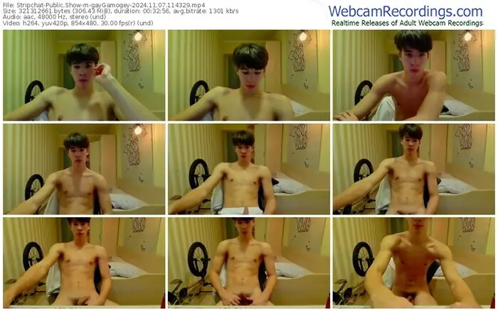 2024/11/07/stripchat-gaygamogey-11-43-29