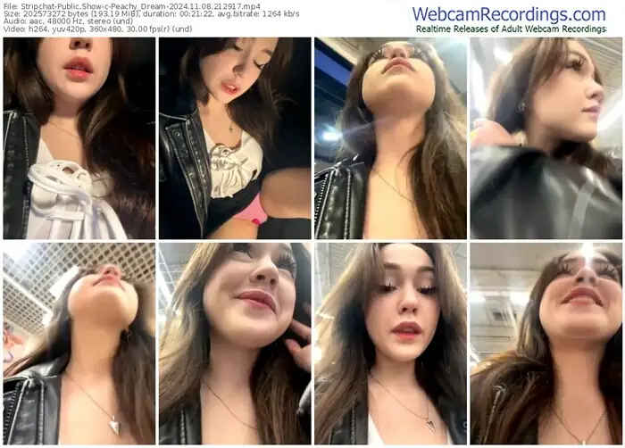 2024/11/08/stripchat-peachy_dream-21-29-17