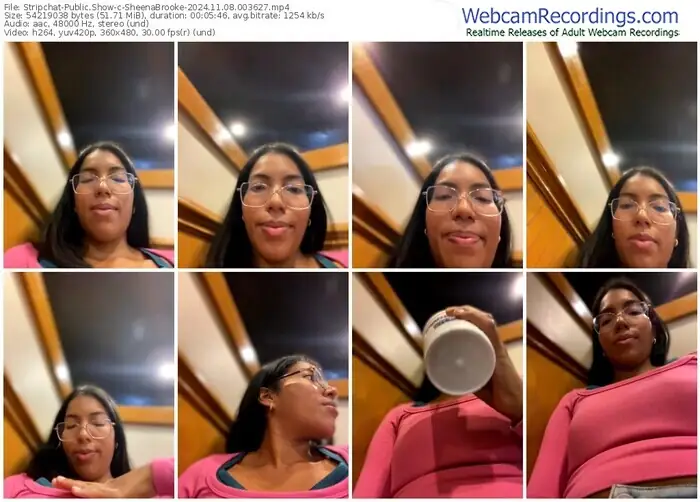 2024/11/08/stripchat-sheenabrooke-00-36-27