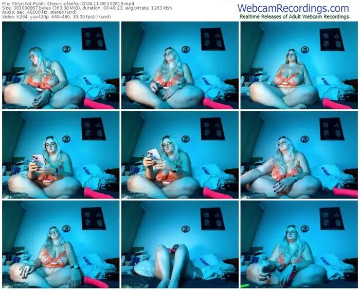 2024/11/08/stripchat-ofeefox-19-28-18