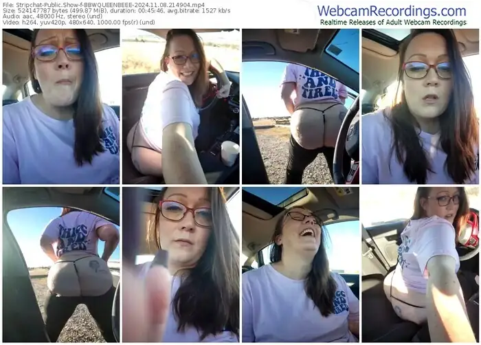 2024/11/08/stripchat-bbwqueenbeee-21-49-04