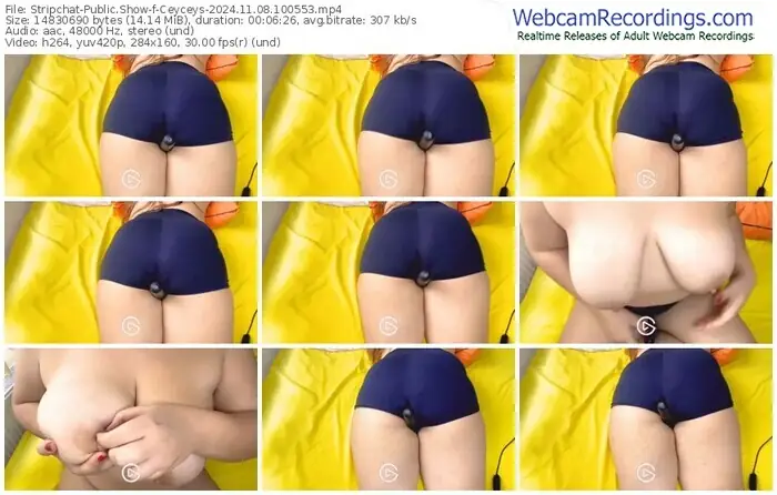 2024/11/08/stripchat-ceyceys-10-05-53