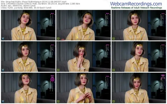 2024/11/08/stripchat-edlinhargus-04-03-37