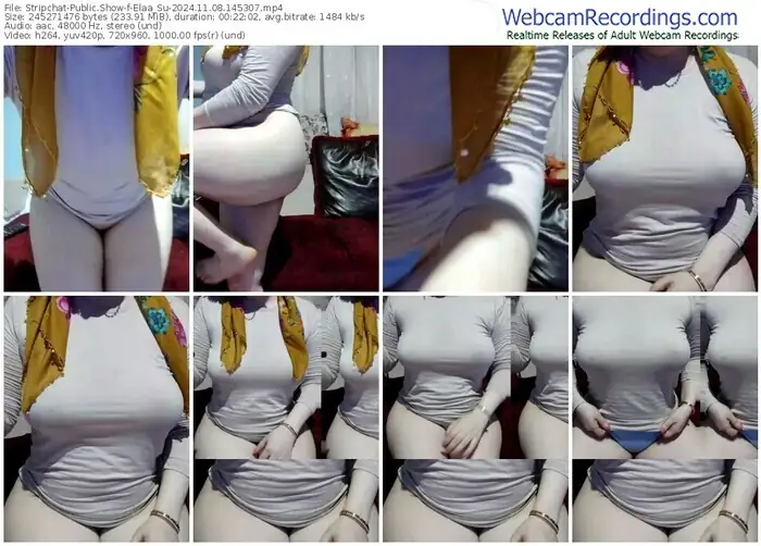 2024/11/08/stripchat-elaa_su-14-53-07