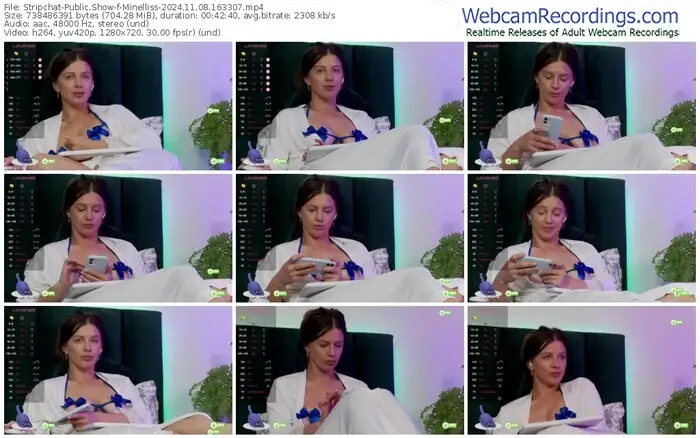 2024/11/08/stripchat-minelliss-16-33-07