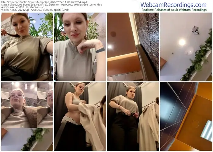 2024/11/08/stripchat-morphine_666-04-52-34