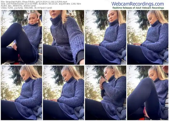 2024/11/08/stripchat-risky_girl23-11-52-56